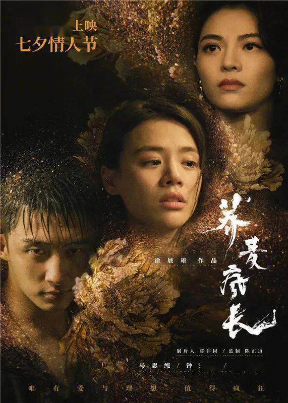 最新复仇泰剧，小巷深处的隐秘故事揭秘