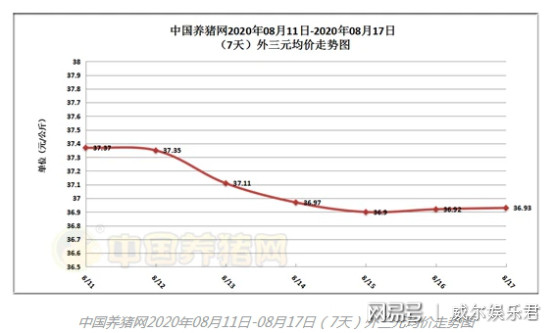 山东最新生猪价格揭秘与巷弄深处的小店故事