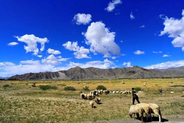 西部牧业重组最新动态，寻找内心平静的旅程