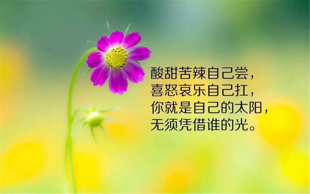 青岛金日达 第140页