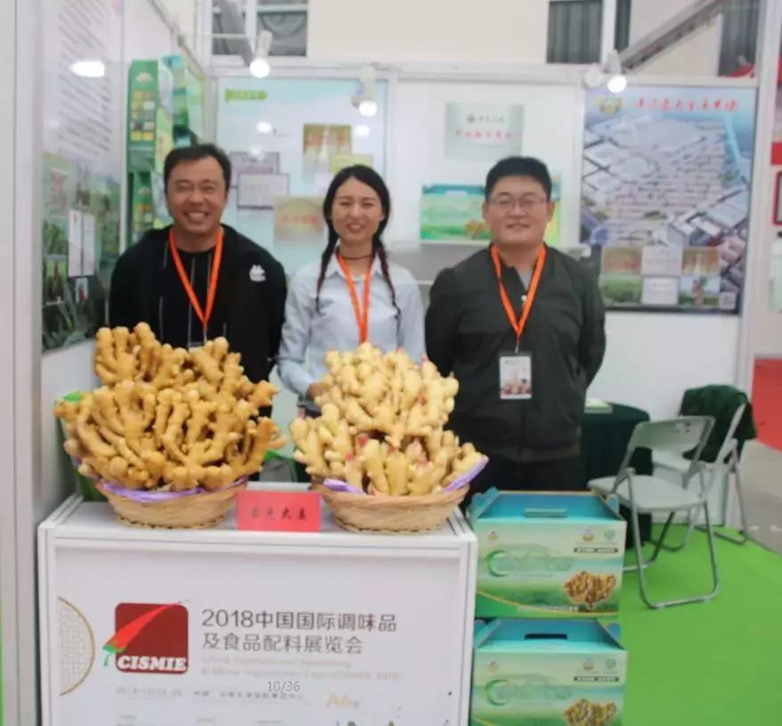 最新大姜价格揭秘，市场走势分析与预测