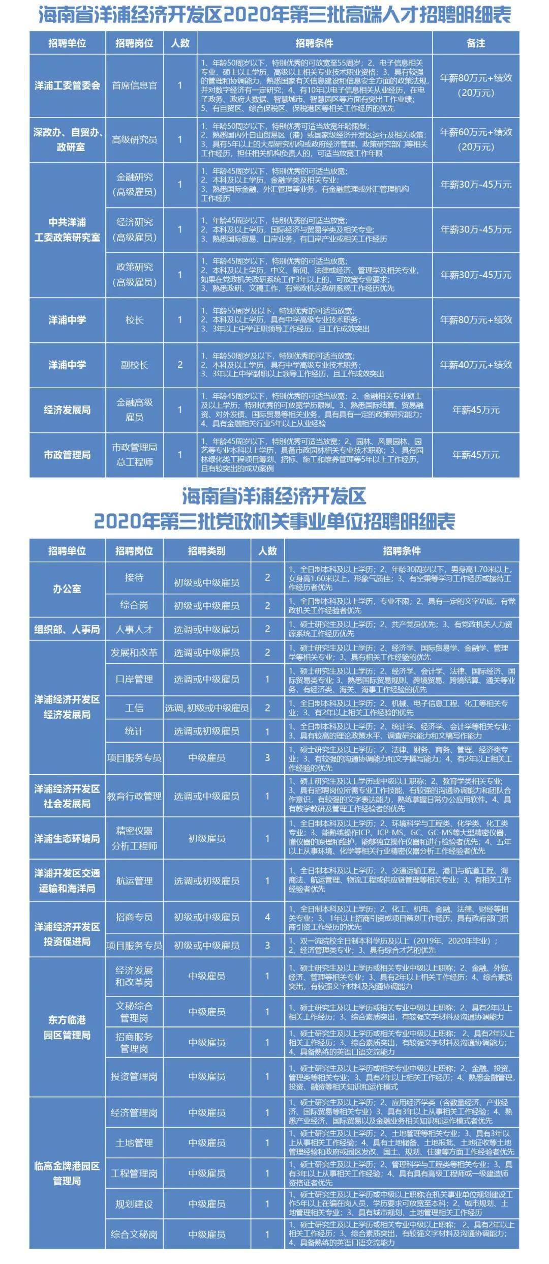 洋浦招聘网最新招聘，科技重塑招聘体验，引领未来人才汇聚