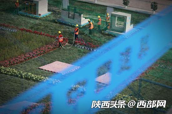 幸福林带最新动态，城市绿色发展双刃剑效应深度解析及其影响