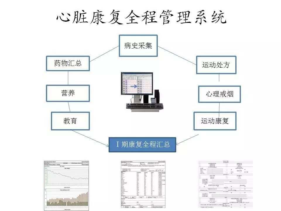 心脏康复最新指南，小巷深处的生命绿洲守护者