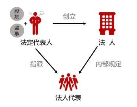 法人最新观点阐述与深度解析