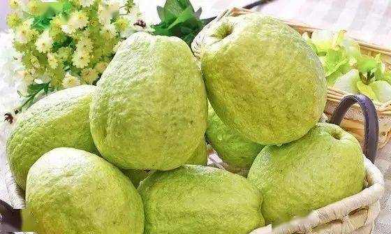 芭乐最新革新之作，重塑未来生活体验的高科技产品