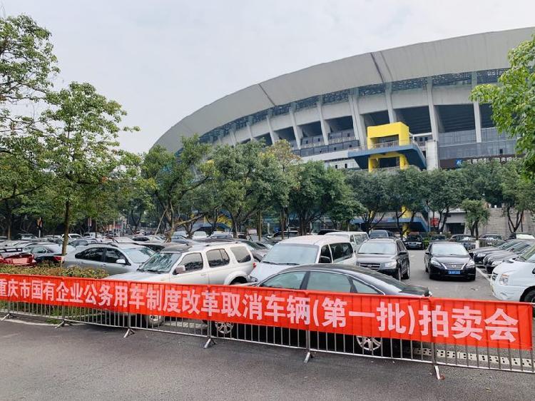 最新公车拍卖信息一览，掌握拍卖动态！