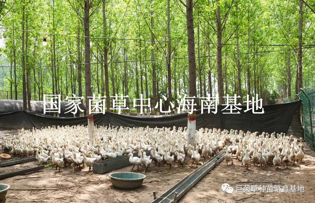 探索最前沿科技发展趋势,最新4569科技动态